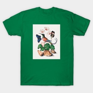 Crimson topaz hummingbird, cyclamen, red postman, and shells T-Shirt